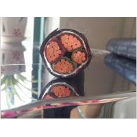 Buy cheap 0.6/1KV Copper core PVC insulated PVC sheathed power cable (YJV 3x95+1x50) product