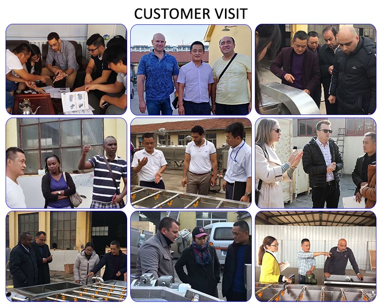 JOYSHINE Group's Mango Washing Machine Easy to Operate at 500kg/h Production Capacity