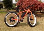 High Speed 1000W Fat Tire Beach Bikes / Custom Mountain Bike With Super Fat