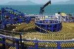 Highly Strength PP Twine For Heavy Duty Submarine Cable Armouring