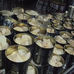 Sweet Flavor Canned 100% Fresh Bamboo Shoot Steamed Processing Type