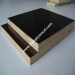 Brown Film Faced Plywood Prices Poplar Core/Hardwood Core Brown Film Faced Glued