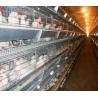 Buy cheap Custom H Type Broiler Rearing Cage , Full Automatic Broiler Cage System from wholesalers