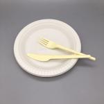 Food Catering Biodegradable Cornstarch Plates