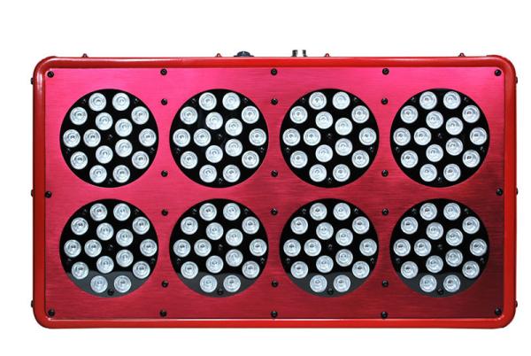 Buy cheap greenhouse tomato grow full spectrum cidly 300W led grow light from wholesalers