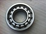 Cylindrical Roller Bearing RN309ECM