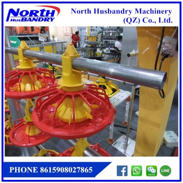Quality poultry birds chicken broiler flooring or ground feeding and drinking line for sale