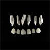 Buy cheap Dental Lab Teeth Feldspathic Porcelain Veneers Custom Shaped from wholesalers