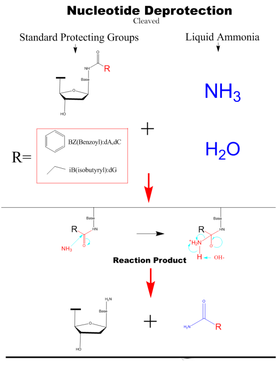 12 Column Medium Throughput Oligonucleotide Synthesis Equipment for DNA RNA Primer