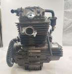 250CC DAYANG Motorcycle Engine Single Cylinder 4 Stroke Wolf water-cooled CDI