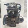 Buy cheap 250CC DAYANG Motorcycle Engine Single Cylinder 4 Stroke Wolf water-cooled CDI Ignition from wholesalers