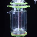 220V 5 Liter Glass Lined Chemical Mixing Reactor