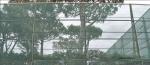 Hdpe Raschel Knitted Windbreak Netting , Dark Green For Plants