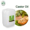 Buy cheap 100% Pure Organic Moisturizing Jamaican Black Castor Oil Hair Growth from wholesalers