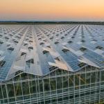 Hydroponic Glass Greenhouse for Flowers Shipping Cost and Estimated Delivery