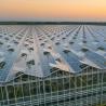Buy cheap Hydroponic Glass Greenhouse for Flowers Shipping Cost and Estimated Delivery Time from wholesalers