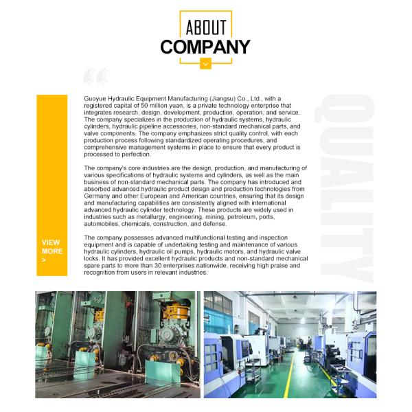 Customized High Quality High-temperature Resistant Double Stroke Oil Cylinder