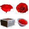 Buy cheap Preserved Roses Flower 12 Roses in Round Gift Box for Wife or Girlfriend rose Preserved Flowers from wholesalers