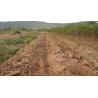 Buy cheap 2 Harvesting Rows 1600mm Width Cassava Harvesting Machine from wholesalers