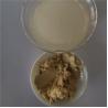 Buy cheap Hot Sale Medicine Grade Labisia Pumila Extract from wholesalers