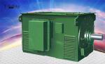 2500KW 3500KW High Efficiency 3 Phase HV Induction Motor High Voltage AC Motor