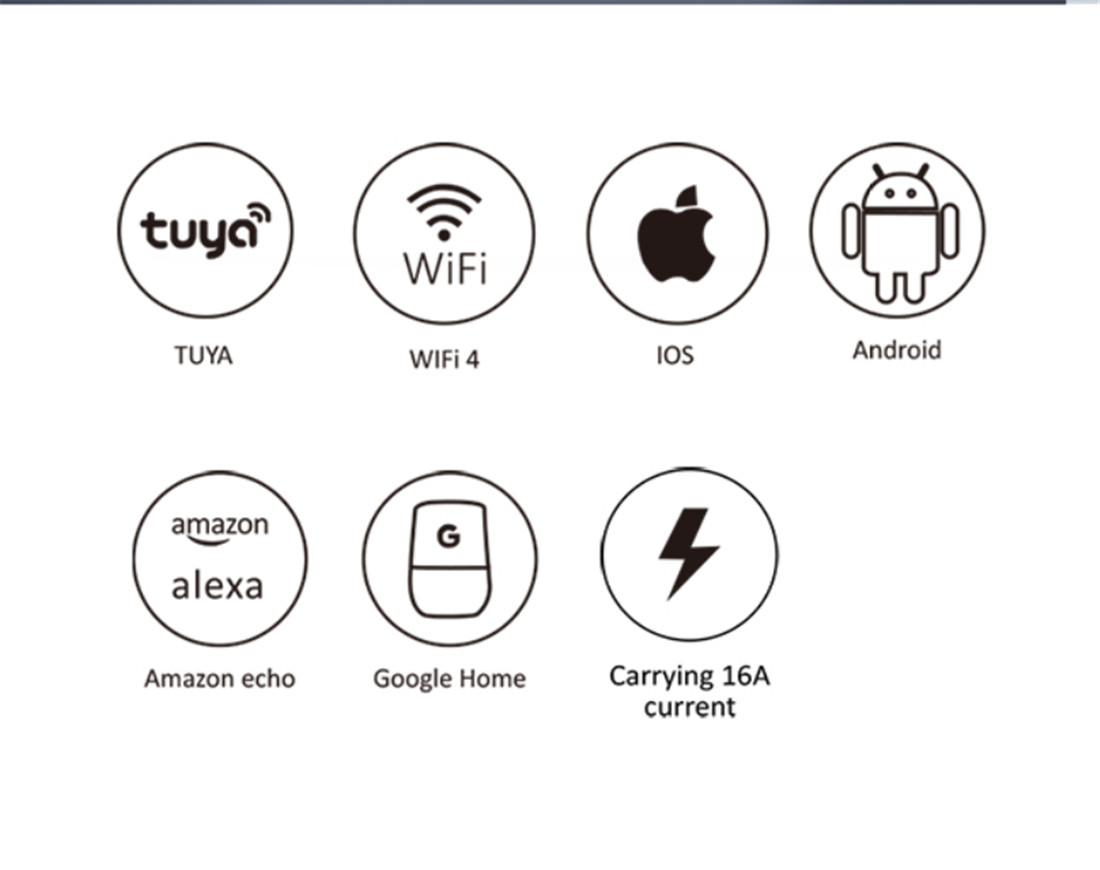 16A WIFI Smart plug with power metering