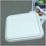 Biodegradable Sugarcane Pulp 3-Compartment Food Box-High Quality Plant Fiber