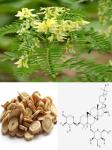 Buy cheap Manufacturer supply Astragaloside IV 0.3%-98%, CAS No.: 84687-43-4, 100% from wholesalers