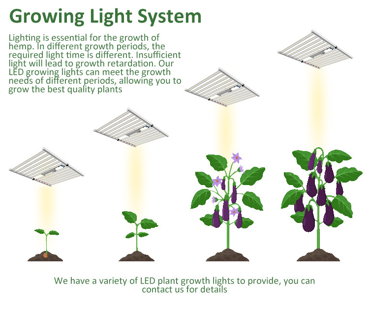 Blackout System Polycarbonate Auto Light Dep Poly Greenhouses 30-60m