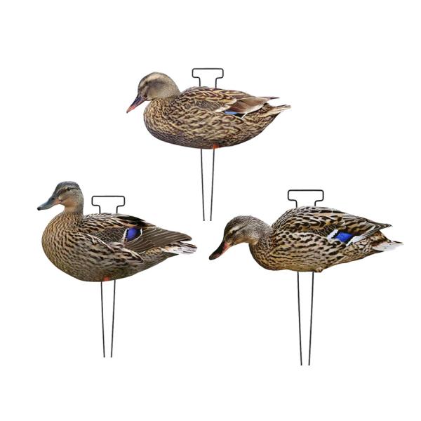 Buy cheap 1200g Lifelike Hunting Decoys PP Board Silhouette Decoys Recyclable Anti Scratch from wholesalers