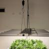 Buy cheap High PPFD 110V 650W LED Grow Light Bar For Greenhouse from wholesalers