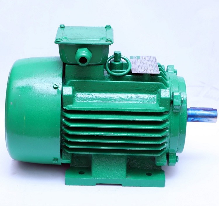 50HZ 60HZ 3 Phase Permanent Magnet Synchronous Motor Price IC411 Cooling