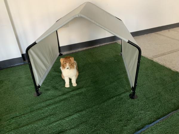 Buy cheap Compact and Portable Grey Color Dog Shelter 4' x 4' x 3' Galvanized Steel Pet Shed from wholesalers