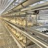 Buy cheap Poultry Farming galvanized Egg Layer Chicken Cage For 5000 Birds from wholesalers