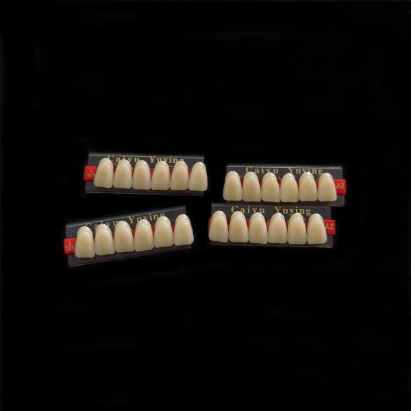 Buy cheap Stain Resistance Dental Artificial Teeth Acrylic Resin Incisor 2x1 Manufacturer CE ISO Composite Dentadura from wholesalers