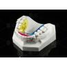Buy cheap Customizable Spring Hawley Retainer Removable Teeth Position Retention from wholesalers