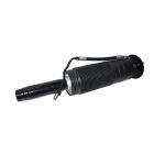 W220 W215 Front ABC Shock Absorber 2203205913 2203205513 Mercedes Benz Active