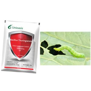 Wholesale Microbial Bt WP Bacillus Thuringiensis Maize Crop Pesticides Killing Agriculture Pest  Of Corn from china suppliers