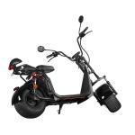 Ecorider 2 Wheel Electric Scooter 1500w EEC City Coco LED Turn Light With Fat