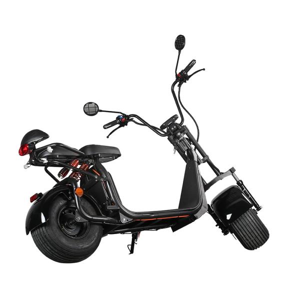 Ecorider 2 Wheel Electric Scooter 1500w EEC City Coco LED Turn Light With Fat