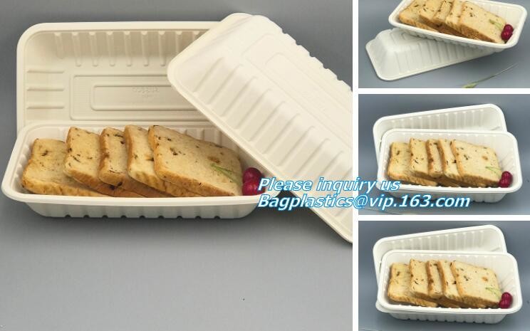 good sale biodegradable disposable corn starch plastic plate for party,Disposable corn starch plates biodegradable corn