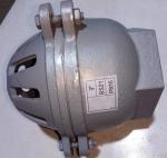 foot valve with material cast iron GG20 BS21 PN16