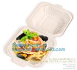 Disposable corn starch bento lunch box takeaway food container,take away box PLA