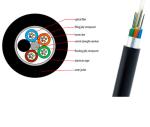 GYFTY 1000 Feet Fiber Optic Cable 6 Core 24 Core Outdoor Armoured Ofc PE Sheat