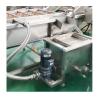 Buy cheap Joyshine Industrial Air Bubble SUS304 Ozone Leaf Vegetable Washing Machine for Fruits from wholesalers