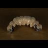 Buy cheap Aesthetic Partial Denture Precision Attachments Medical Grade OEM from wholesalers