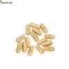 Buy cheap Beekeeping Propolis Hard Capsules bee product Propolis Hard Capsules for sale from wholesalers