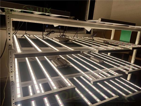 Buy cheap PWM Led Grow Light Strips from wholesalers