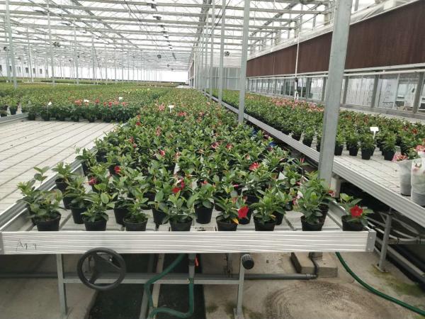 Aluminum Alloy ABS Clip On Bench Side Profile Greenhouse Rolling Tables W × L 4