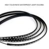 Buy cheap 12V Multicolor Car Underglow Lights , 4pcs Underglow Light Kits For Cars from wholesalers